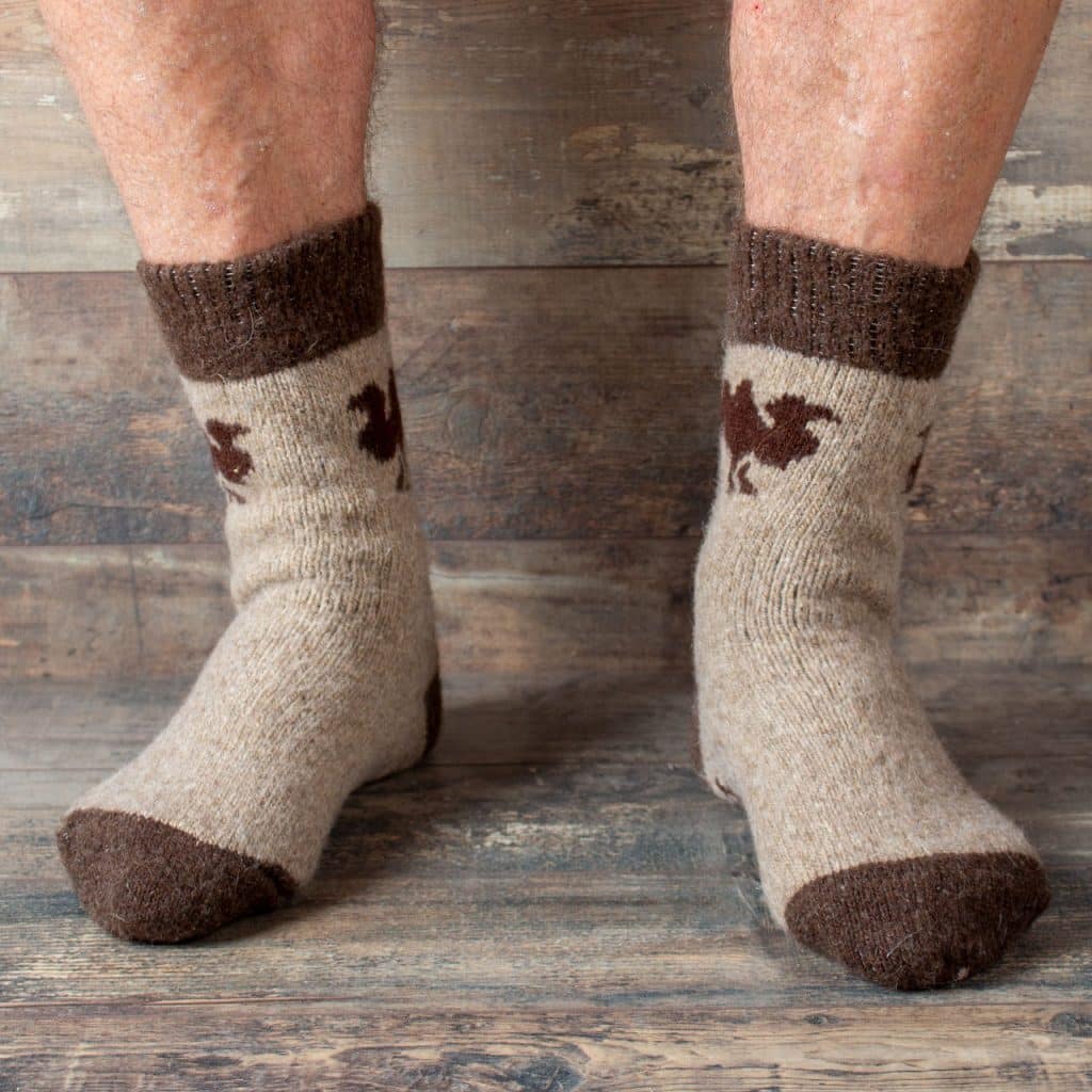 Wool Socks - Camel